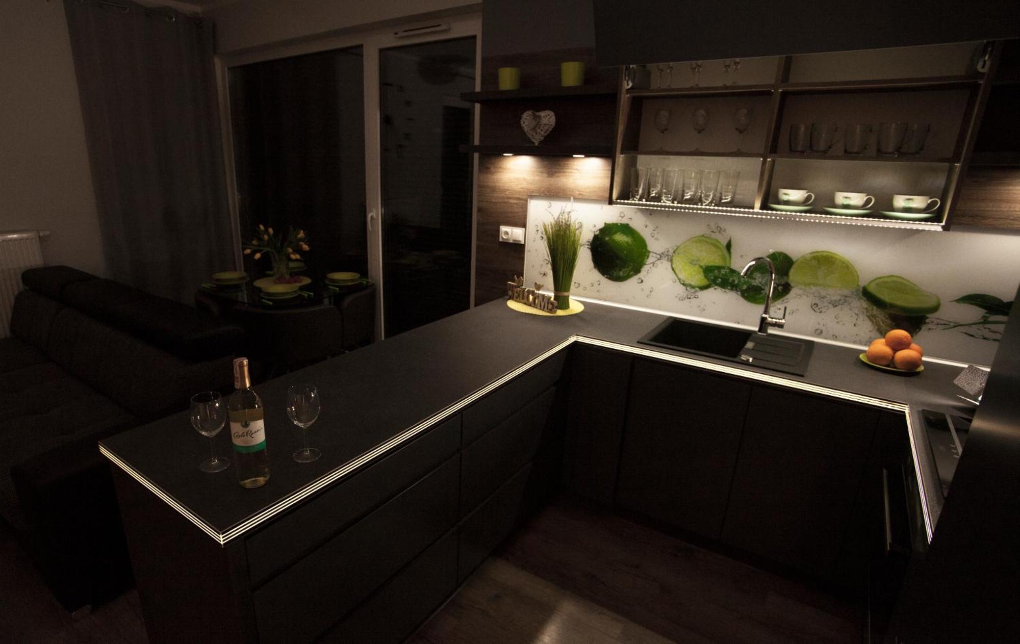 Apartament W Cieplicach イェレニャ・グーラ エクステリア 写真